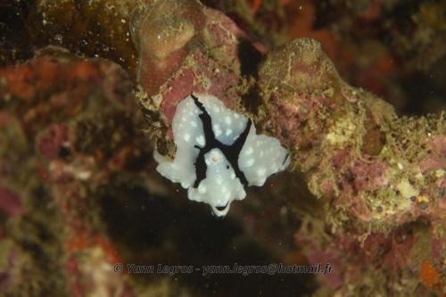 20180118 182802 2226