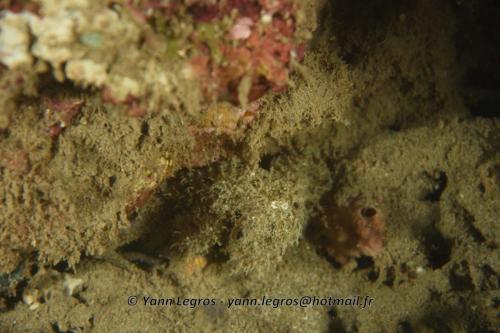 20180118 183211 2227