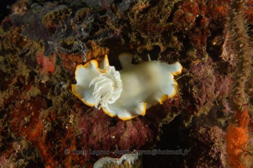 20180118 183543 2228