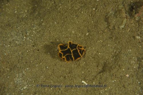 20180118 184119 2230