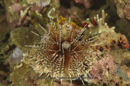 20180118 184224 2231