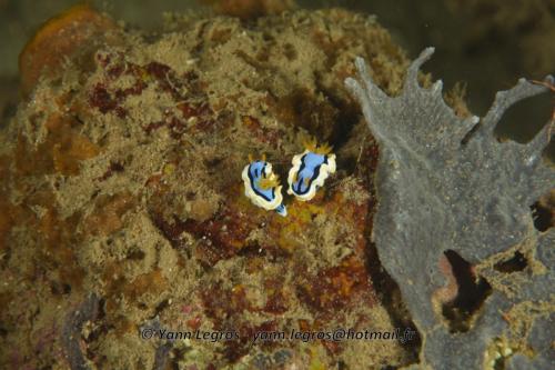 20180118 184518 2232