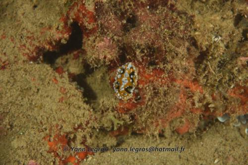 20180118 184736 2233