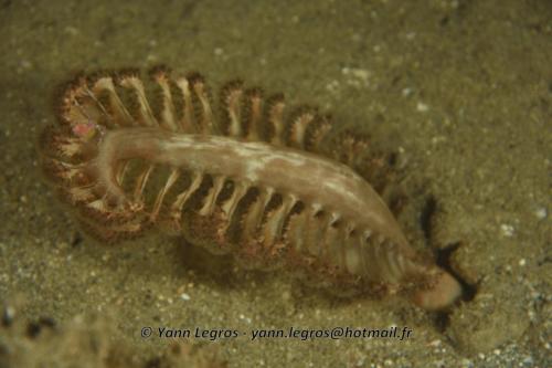 20180118 185036 2234