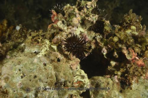 20180118 185528 2235