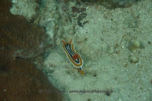 20180119 153316 2236