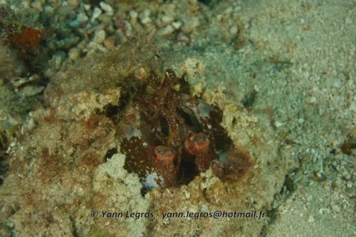 20180119 154955 2237