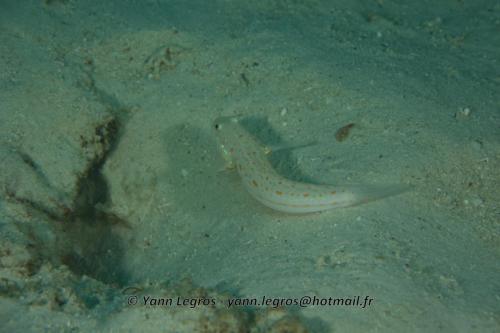 20180119 155531 2238