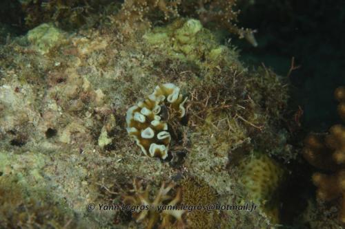 20180119 161359 2239