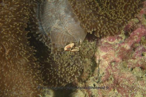 20180119 161512 2240