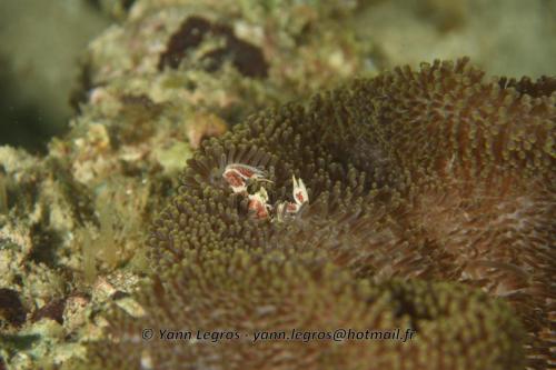 20180119 161716 2241