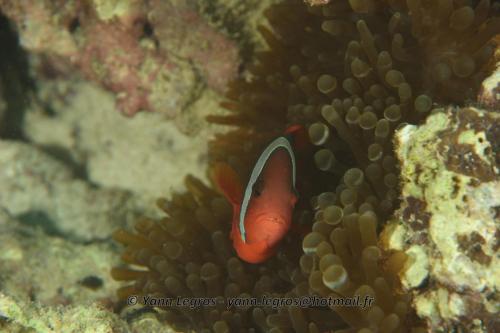 20180119 162742 2242