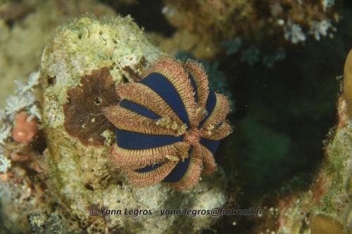 20180119 162948 2243