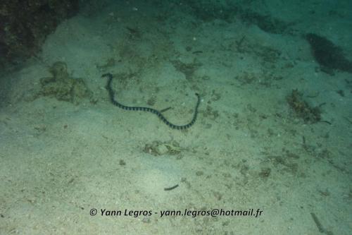 20180119 163025 2244