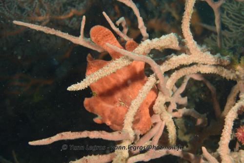 20180120 090805 2245