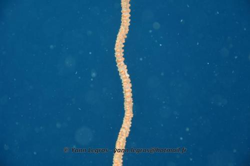 20180120 091120 2246