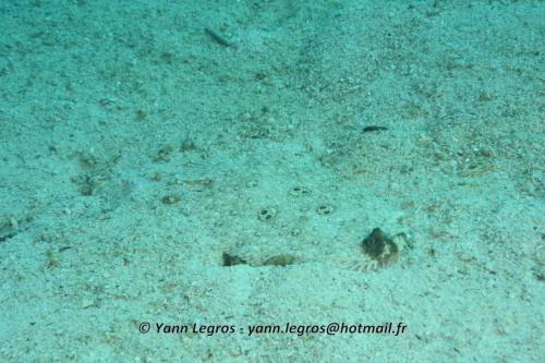 20180120 091434 2247