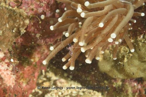 20180120 091648 2248