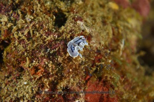 20180120 092555 2249