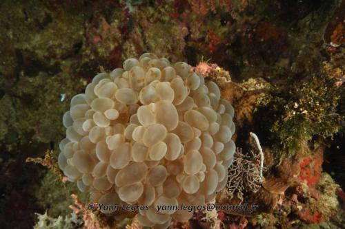 20180120 092648 2250