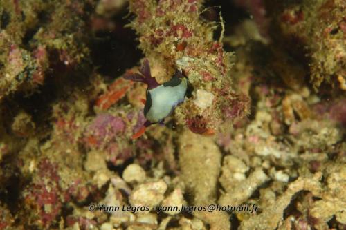 20180120 093016 2251