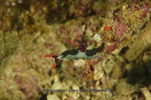 20180120 093250 2252