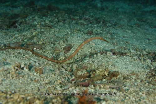 20180120 094238 2253