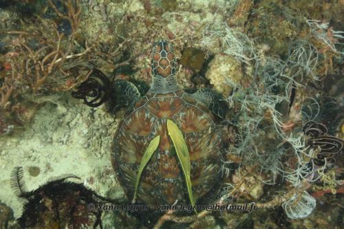 20180120 094548 2254