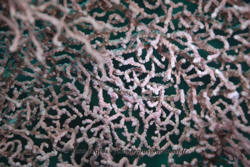 20180120 094746 2255