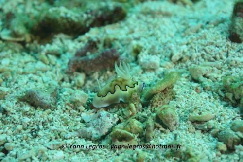 20180120 095349 2256