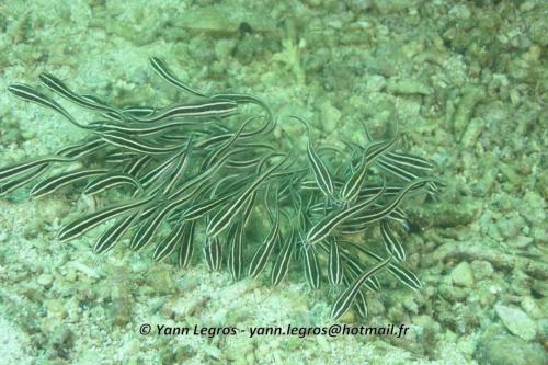 20180120 095723 2257