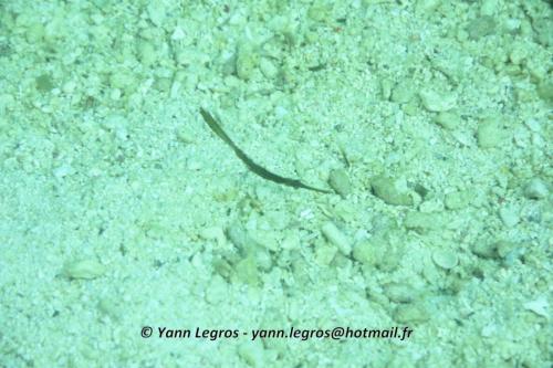 20180120 100312 2258