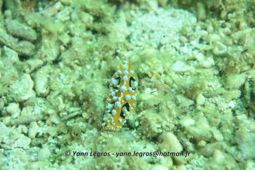 20180120 100437 2259