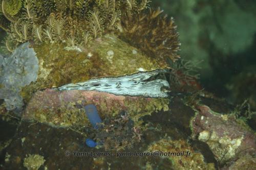 20180120 111340 2260