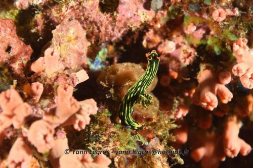 20180120 111534 2261