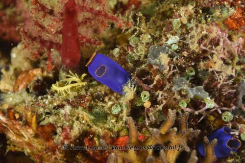 20180120 111925 2262