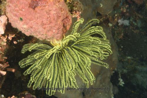 20180120 112033 2263