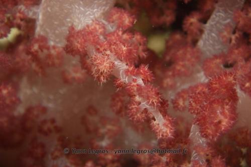 20180120 112254 2264