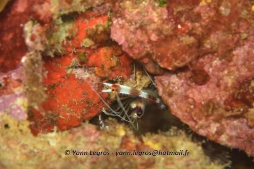 20180120 112525 2265