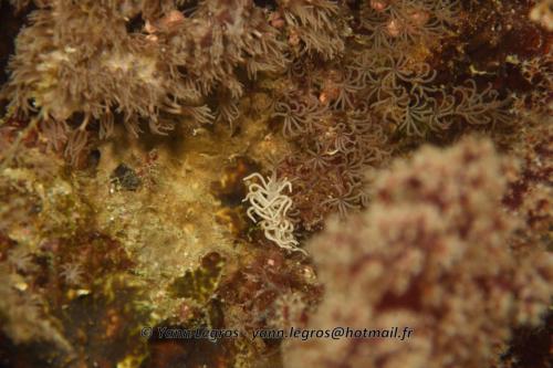 20180120 112856 2266