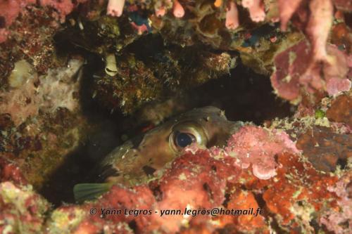 20180120 114038 2267