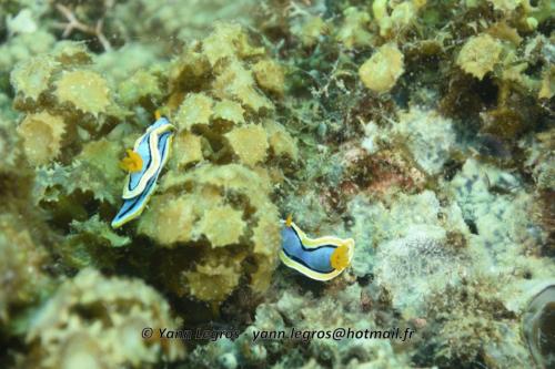 20180120 115706 2268