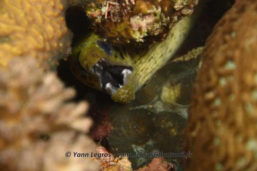 20180120 120520 2269