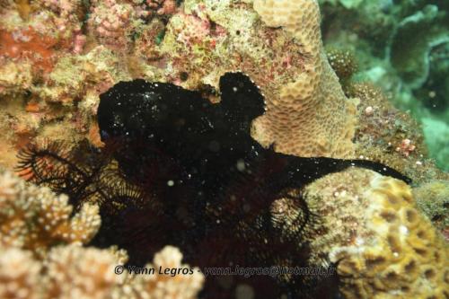 20180120 121017 2270