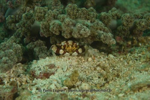 20180120 153437 2271