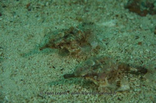 20180120 153651 2272