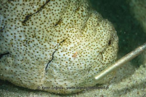 20180120 154124 2273