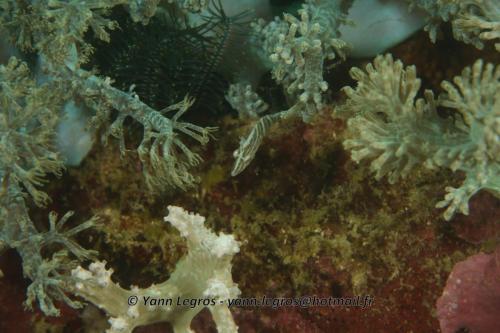 20180120 154258 2274