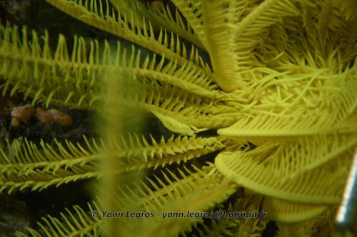 20180120 154725 2275