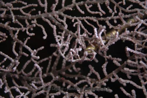 20180120 155348 2276